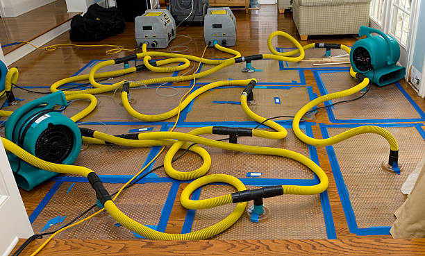 Professional Water Damage Repair technician working in Utica, MS